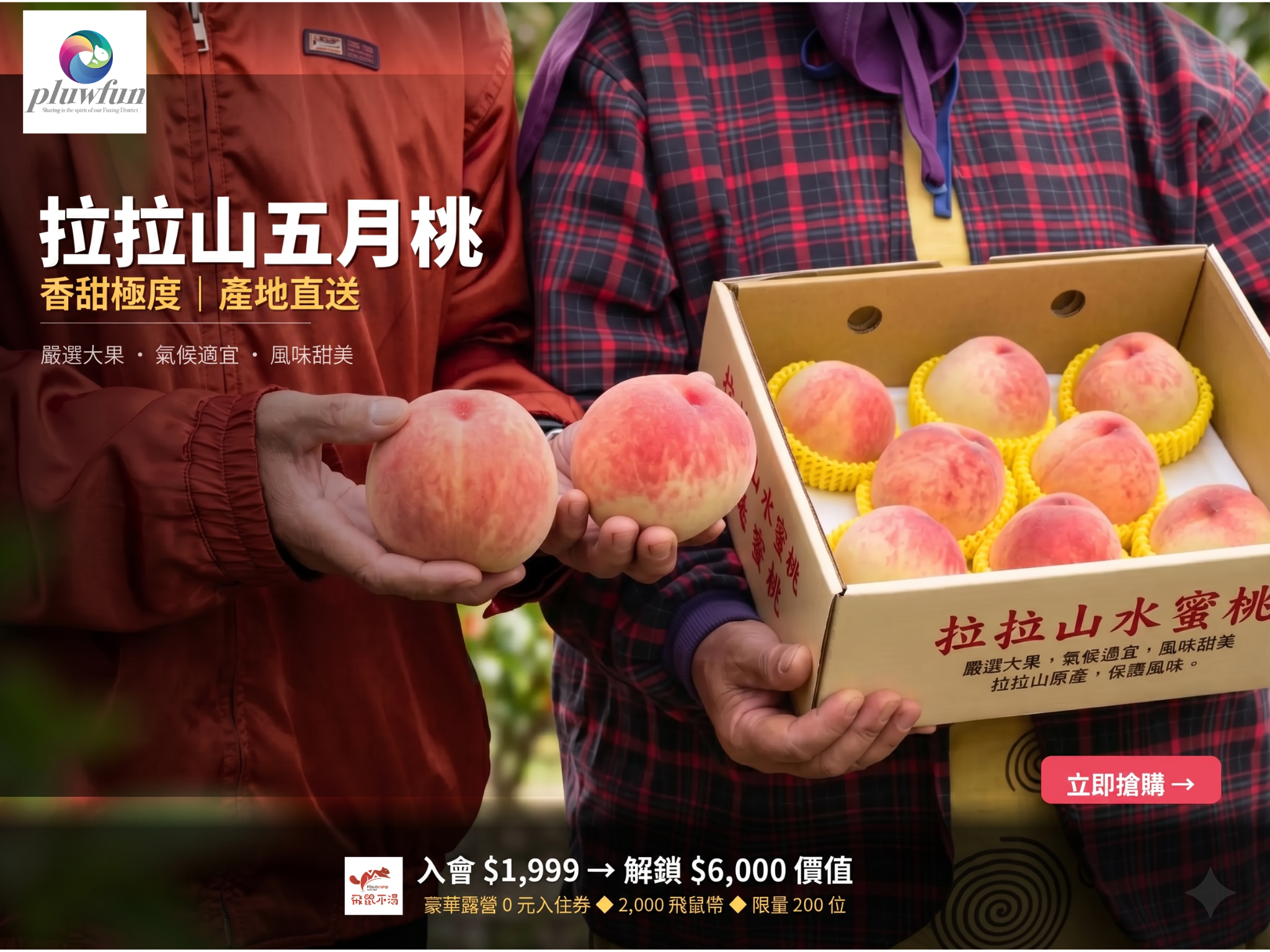 拉拉山五月桃與包裝盒